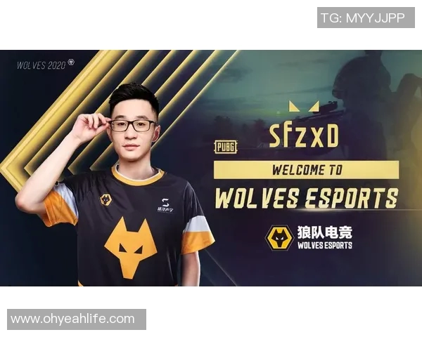 云达不莱梅对阵狼队精彩直播全程回顾与赛后分析