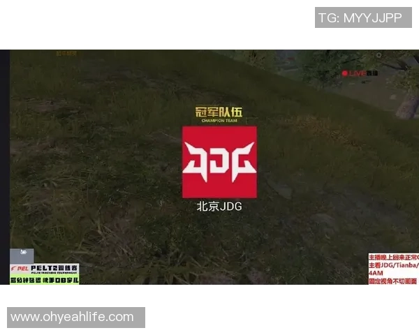 热议和平精英JDG战队耐力变革引发电竞圈广泛关注与讨论